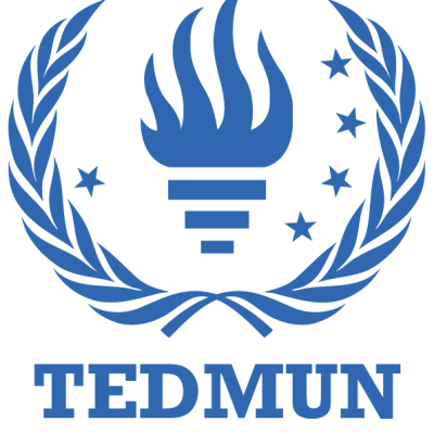 TEDMUN '25